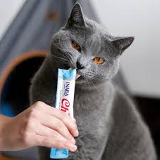 Churu para Gatos: ¿A qué Edad se Puede Dar?