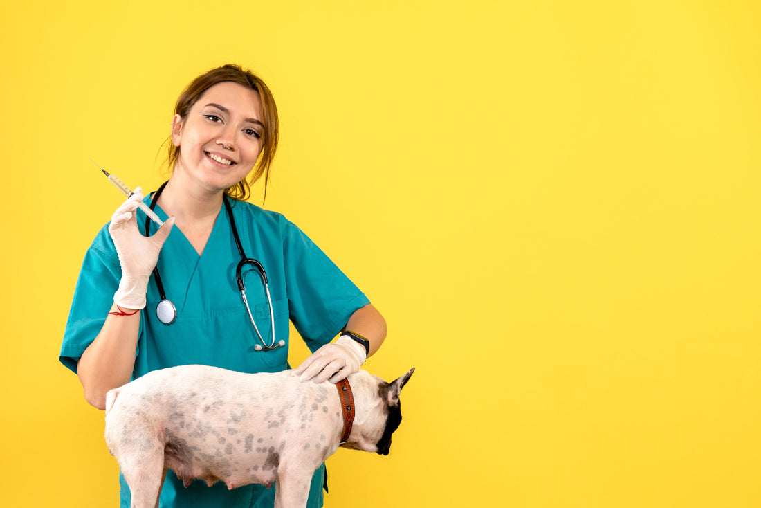 La Importancia de la Vacunación en Cachorros y Gatitos Título: