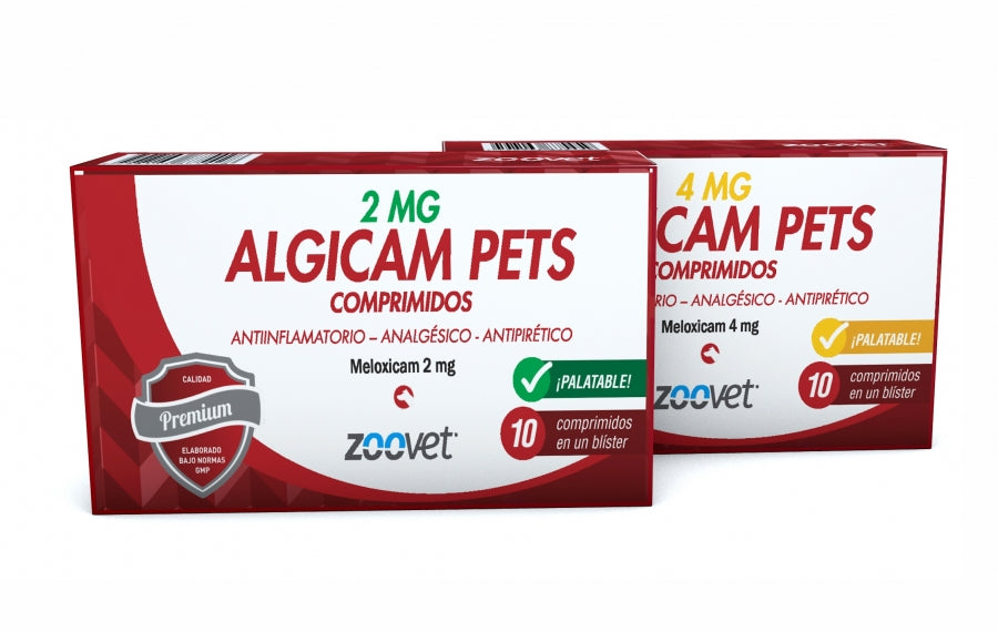 ALGICAM 2 MG BL X 10 COM