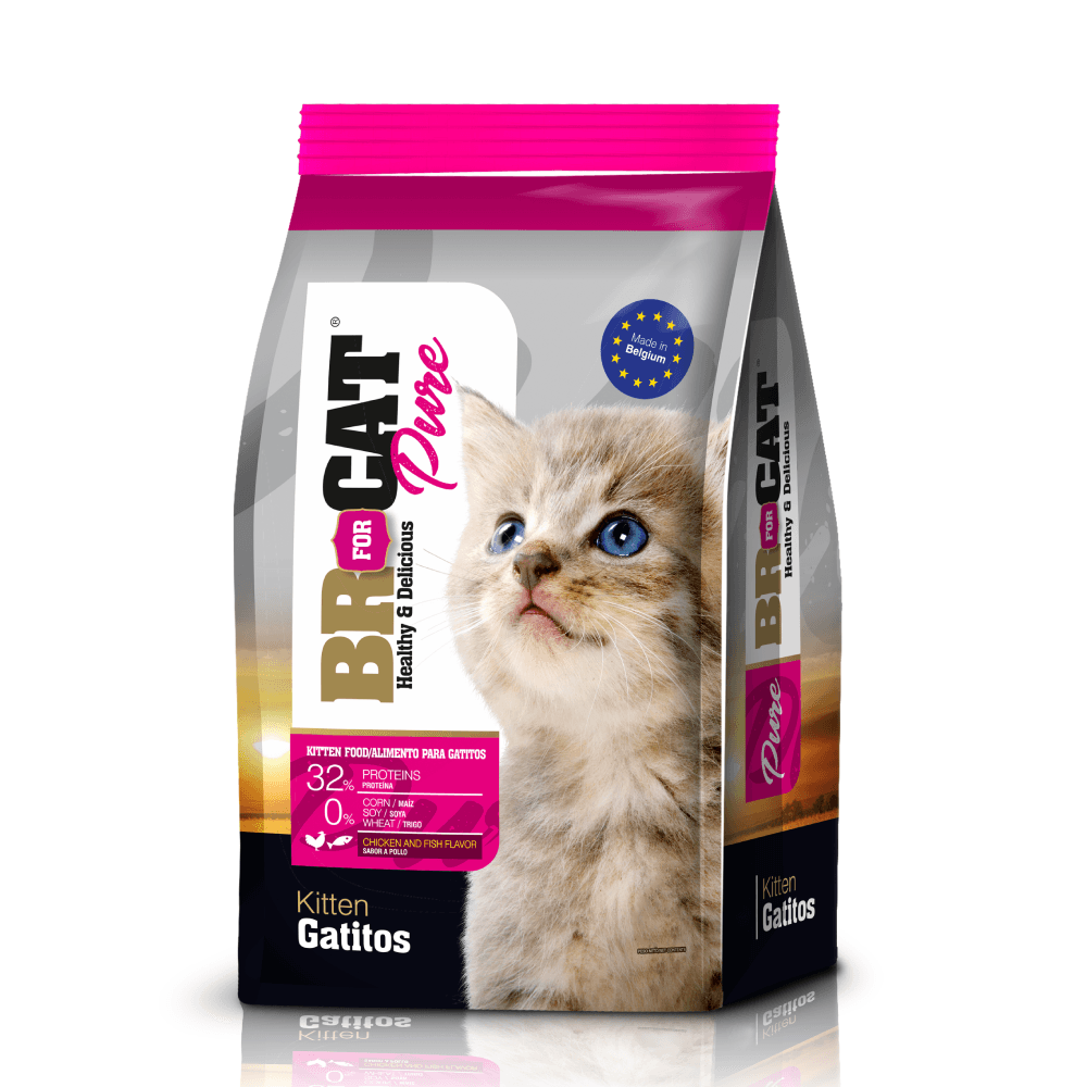 BR GATITOS X 1 KG