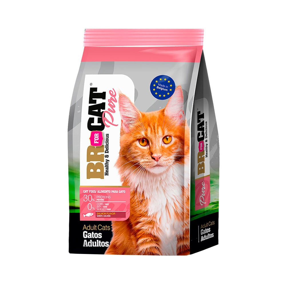 BR GATO ADULT SALMON X 1 KG