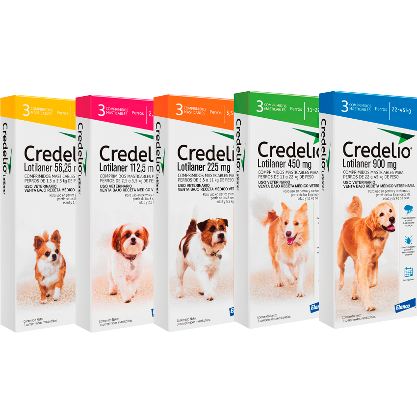 Credelio Para Perro