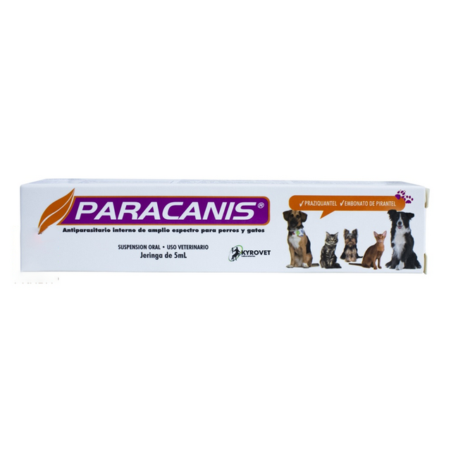 Paracanis Adulto