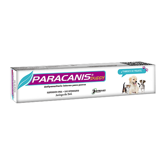 Paracanis Puppy
