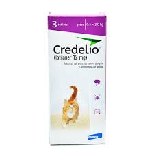 Credelio para Gato